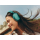 Sennheiser MOMENTUM 4 Wireless TEAL - 1370666 - zdjęcie 10